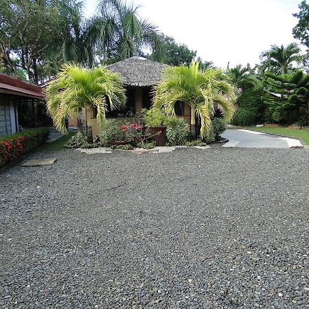Susan'S Place Bed And Breakfast Puerto Princesa Екстериор снимка